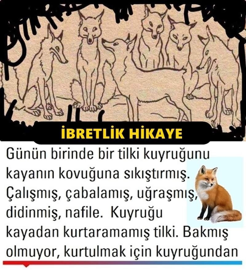 Tilkinin Kuyruğu Hikayesi galerisi resim 1
