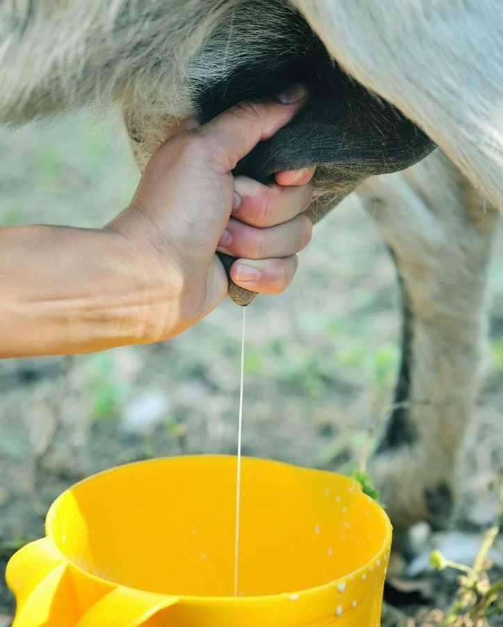 Bunu yapıyormuş galerisi resim 6