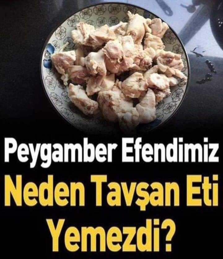 Tavşanın eti galerisi resim 1
