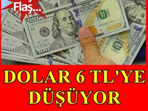 Dolar o tarihte 6 TL olacak