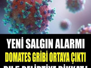 Yeni salgın alarmı