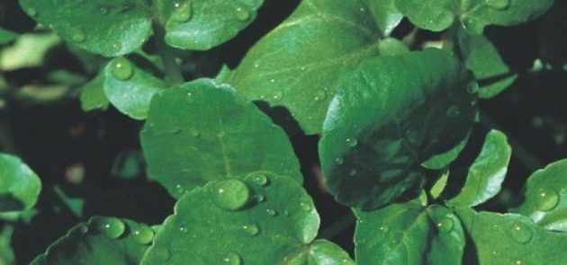 İslama Göre Cinsel Hayattaki Yasaklar Nelerdir? galerisi resim 12