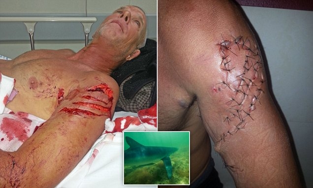 BİR SANİYE SONRA HAYATLARI DEĞİŞTİ....AMACI SADECE TATİL YAPMAKTI... galerisi resim 5