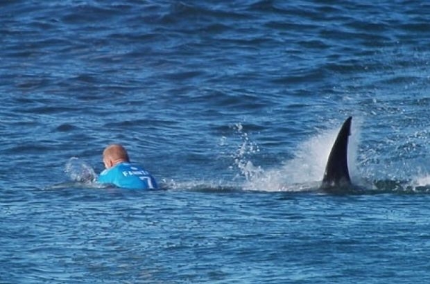 BİR SANİYE SONRA HAYATLARI DEĞİŞTİ....AMACI SADECE TATİL YAPMAKTI... galerisi resim 6