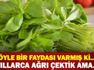 YILLARCA AĞRI ÇEKTİK AMA KİMSENİN AKLINA GELMEDİ!