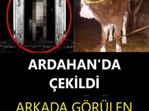 Ardahan’da görüntülendi