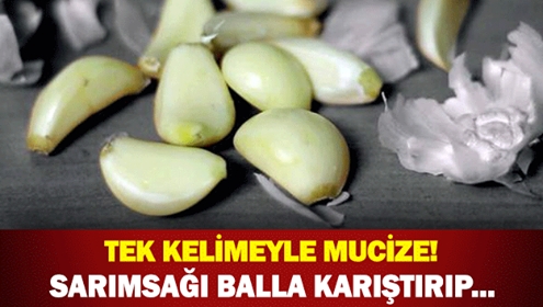 TEK KELİMEYLE MUCİZE! SARIMSAĞI BALLA KARIŞTIRIP... galerisi resim 1