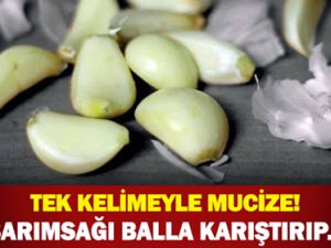 TEK KELİMEYLE MUCİZE! SARIMSAĞI BALLA KARIŞTIRIP...