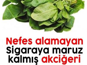 SİGARAYA MARUZ KALMIŞ