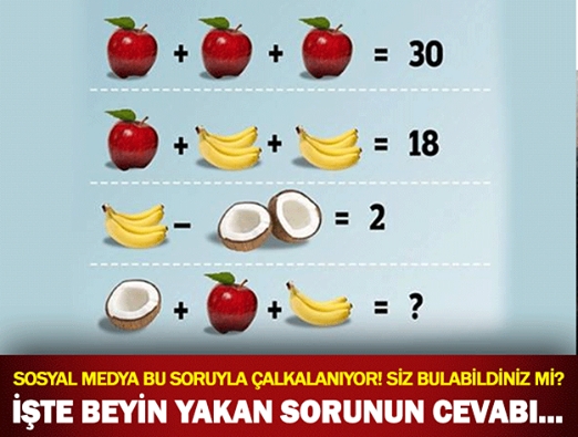 İşte beyin yakan sorunun cevabı... galerisi resim 1