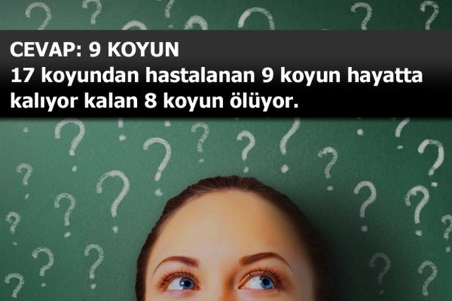 İşte beyin yakan sorunun cevabı... galerisi resim 9