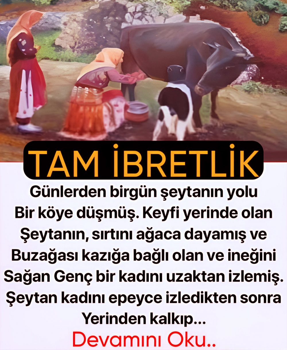 Tam İbretlik galerisi resim 1