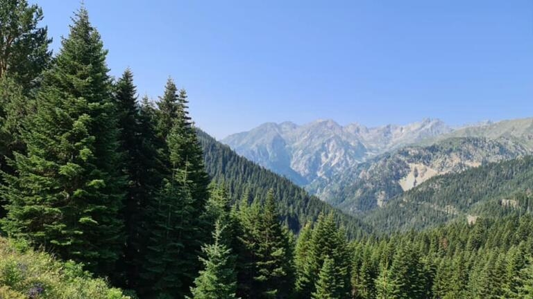 Tam İbretlik galerisi resim 3