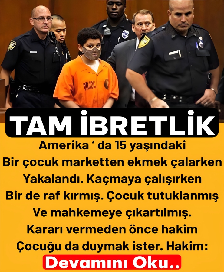 Adalet Dersi galerisi resim 1