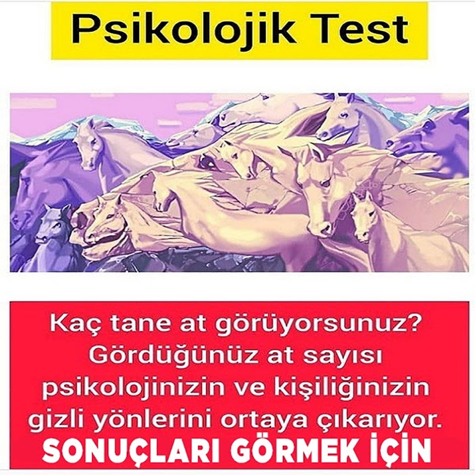 Test kaç tane at görüyorsunuz.. galerisi resim 1