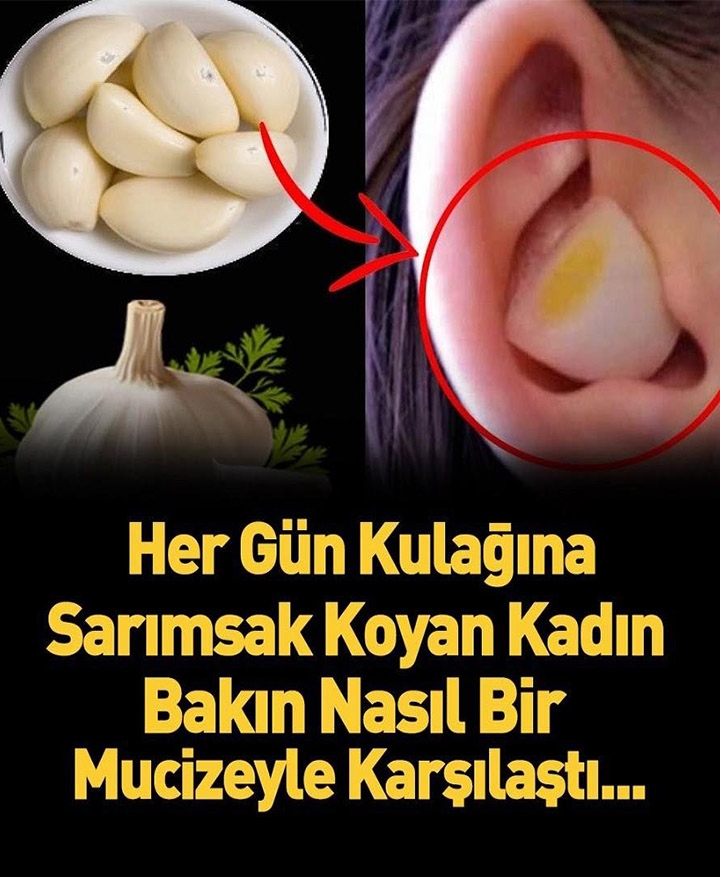 Kulağa sarımsak koyarsak ne olurr galerisi resim 1