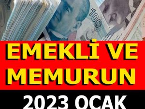 EMEKLİ VE MEMURUN