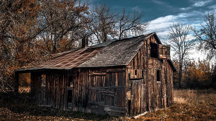 Dünyada Eşi Görülmemiş Olay galerisi resim 1