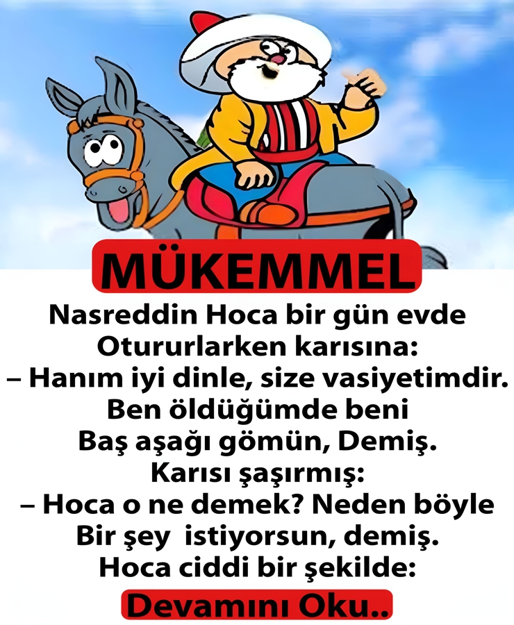 Nasrettin Hoca galerisi resim 1