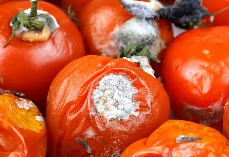 Ne işe yaradığını duyan galerisi resim 2