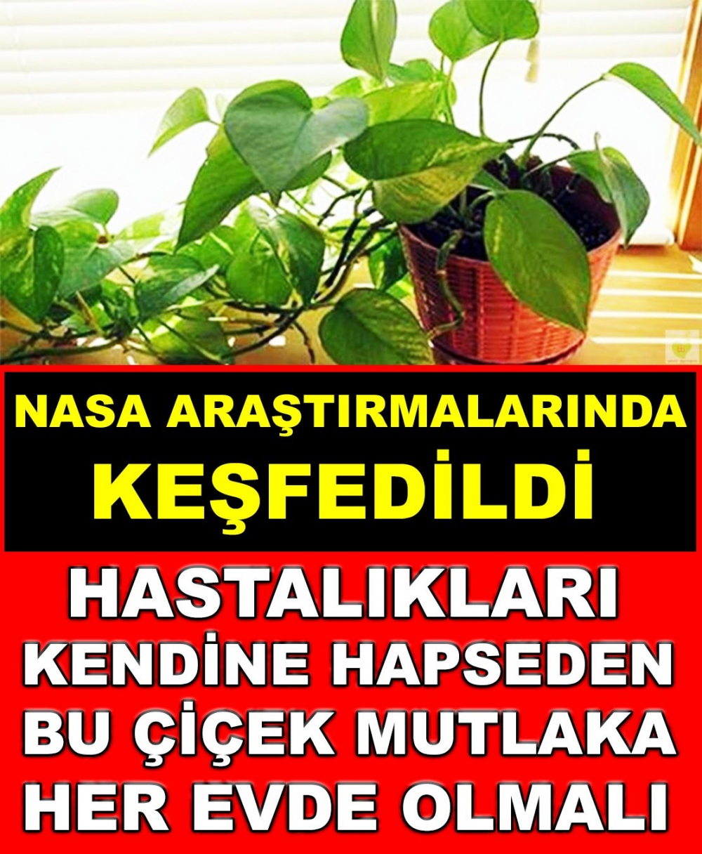 Sakın Evinizden Eksik Etmeyin galerisi resim 1