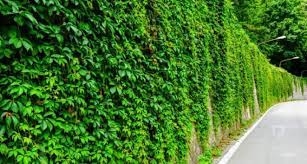 Sakın Evinizden Eksik Etmeyin galerisi resim 5