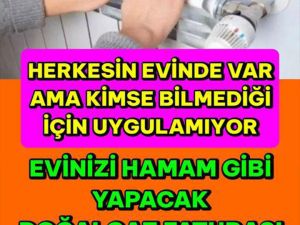 ben bunu bilmiyordum.. denedim bakalım ne olacak