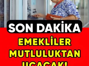 Yeni Emekli Zamları