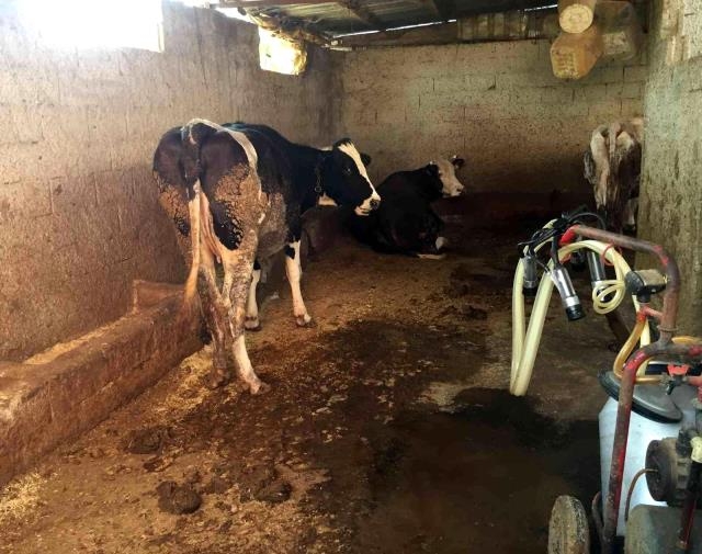 15 Yaşındaki Nursel galerisi resim 2