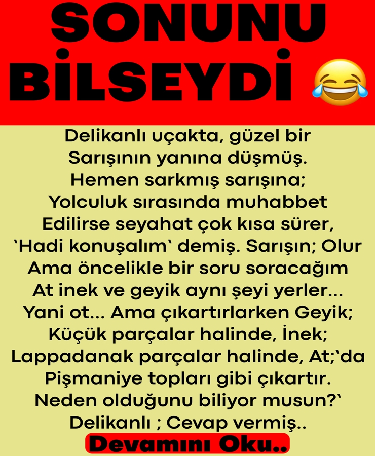 Sonunu Bilseydi galerisi resim 1