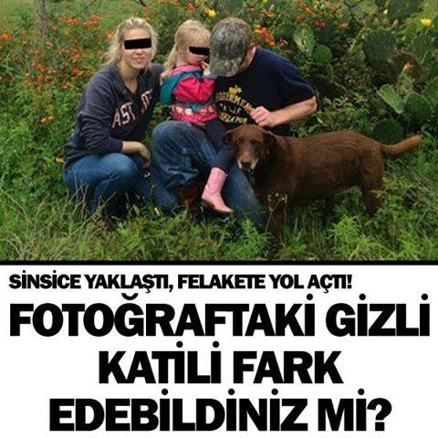SİNSİCE YAKLAŞTI! FOTOĞRAFTAKİ GİZLİ KATİLİ FARK EDEBİLDİNİZ Mİ? galerisi resim 1