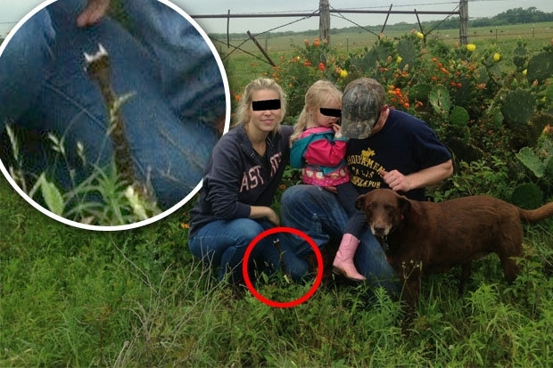 SİNSİCE YAKLAŞTI! FOTOĞRAFTAKİ GİZLİ KATİLİ FARK EDEBİLDİNİZ Mİ? galerisi resim 9