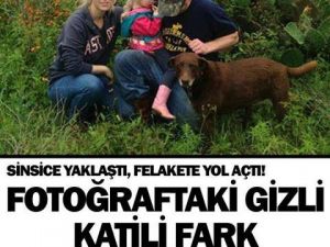 SİNSİCE YAKLAŞTI! FOTOĞRAFTAKİ GİZLİ KATİLİ FARK EDEBİLDİNİZ Mİ?