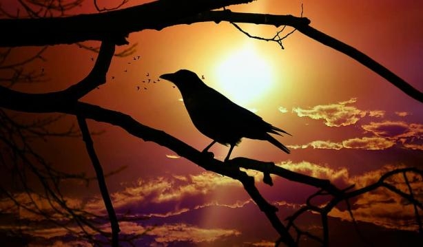 Eve giren adam galerisi resim 2