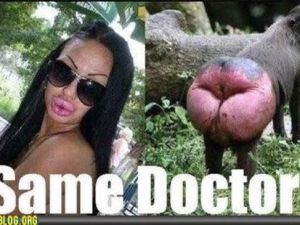 Aşırı Komik Şekilde Birbirine Benzeyen 17 Şey !