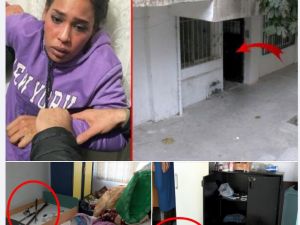 Evde bulunanları gösterdiler