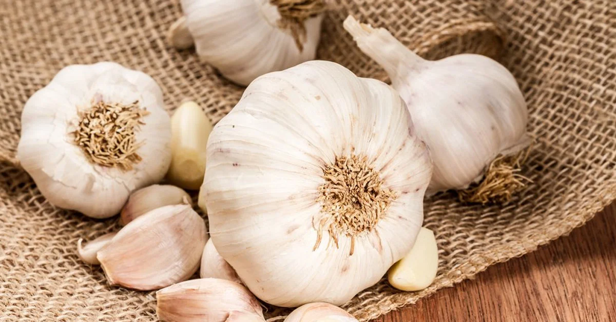 Ayağının altına sarımsak sürmenin mucizevi faydası galerisi resim 2