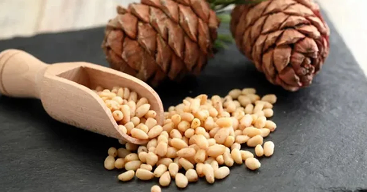 Şifa Deposu Besinler galerisi resim 4