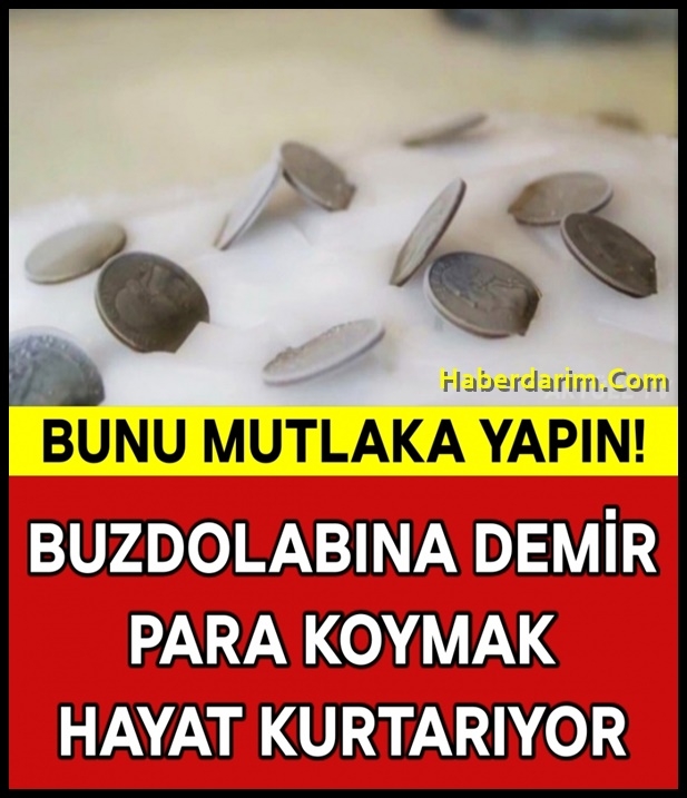 Bozuk Para Neden Buzdolabına Konur? galerisi resim 1