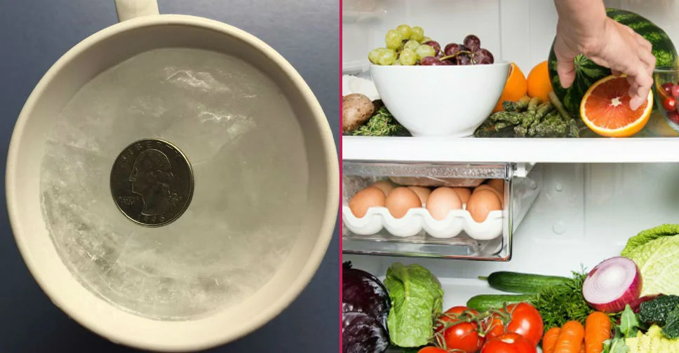 Bozuk Para Neden Buzdolabına Konur? galerisi resim 5