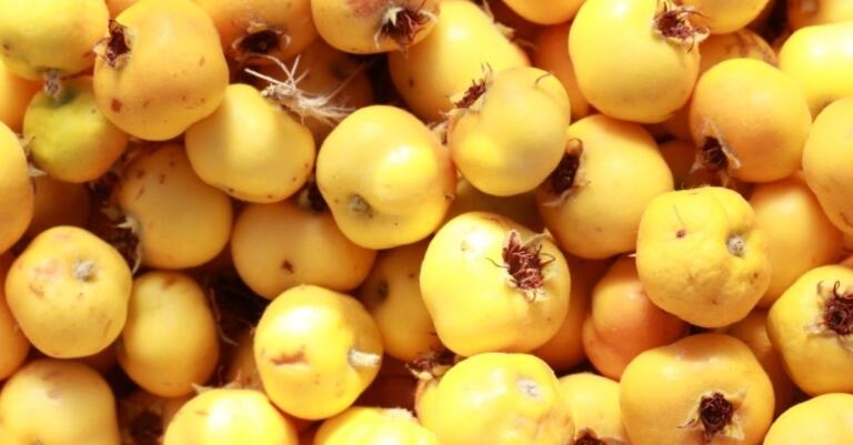 Deli Gibi Yağ Yaktırıyor galerisi resim 4