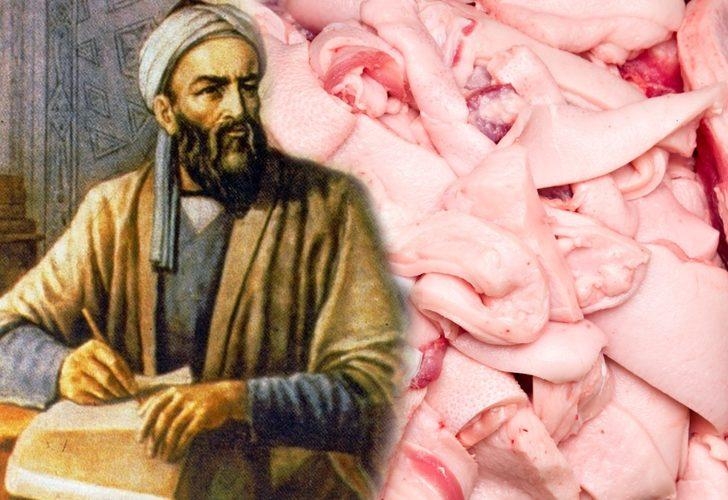 İbn-i Sina tek tek açıkladı! Kökünden kurutuyor galerisi resim 2