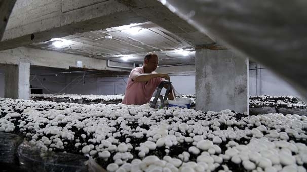 GELİN KAYNANA İŞ HAYATINA GİRDİ! PARA ELLERİNİN KİRİ OLDU! galerisi resim 4