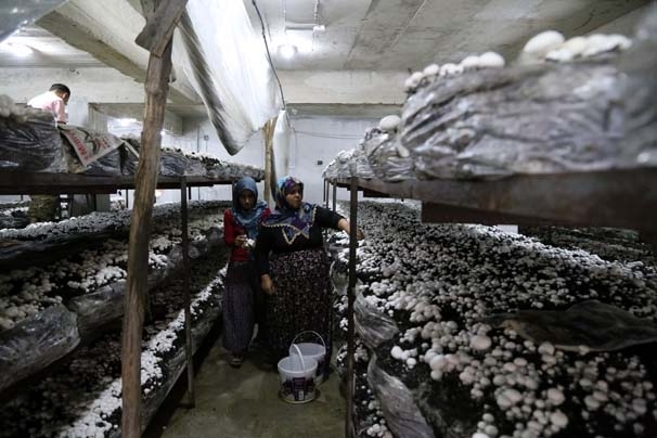 GELİN KAYNANA İŞ HAYATINA GİRDİ! PARA ELLERİNİN KİRİ OLDU! galerisi resim 6