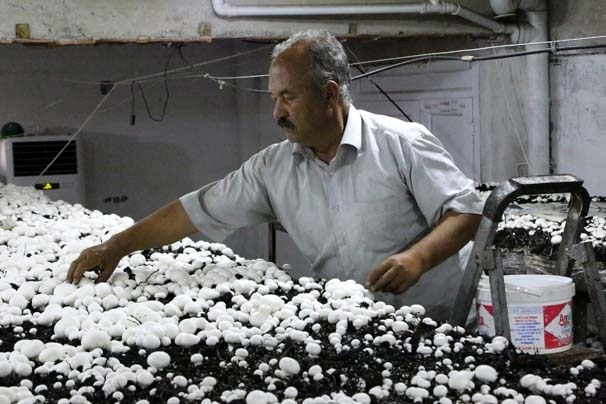 GELİN KAYNANA İŞ HAYATINA GİRDİ! PARA ELLERİNİN KİRİ OLDU! galerisi resim 8