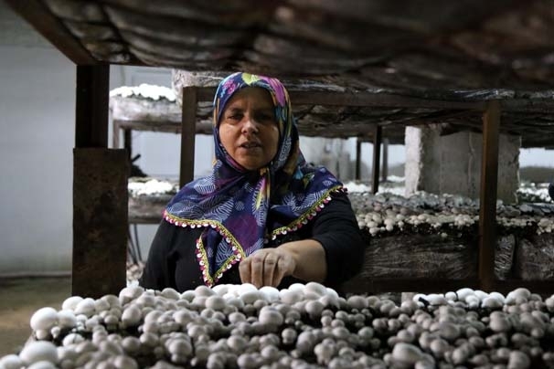 GELİN KAYNANA İŞ HAYATINA GİRDİ! PARA ELLERİNİN KİRİ OLDU! galerisi resim 9