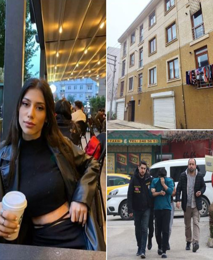 Ayşenur Çolakoğlu galerisi resim 1