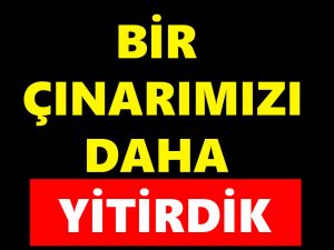 BİR ÇINARIMIZI DAHA YİTİRDİK