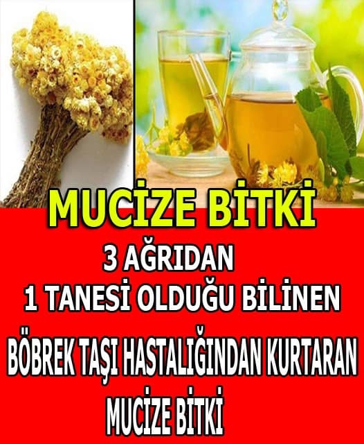 Mucize Bitki galerisi resim 1