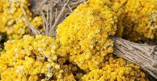 Mucize Bitki galerisi resim 4